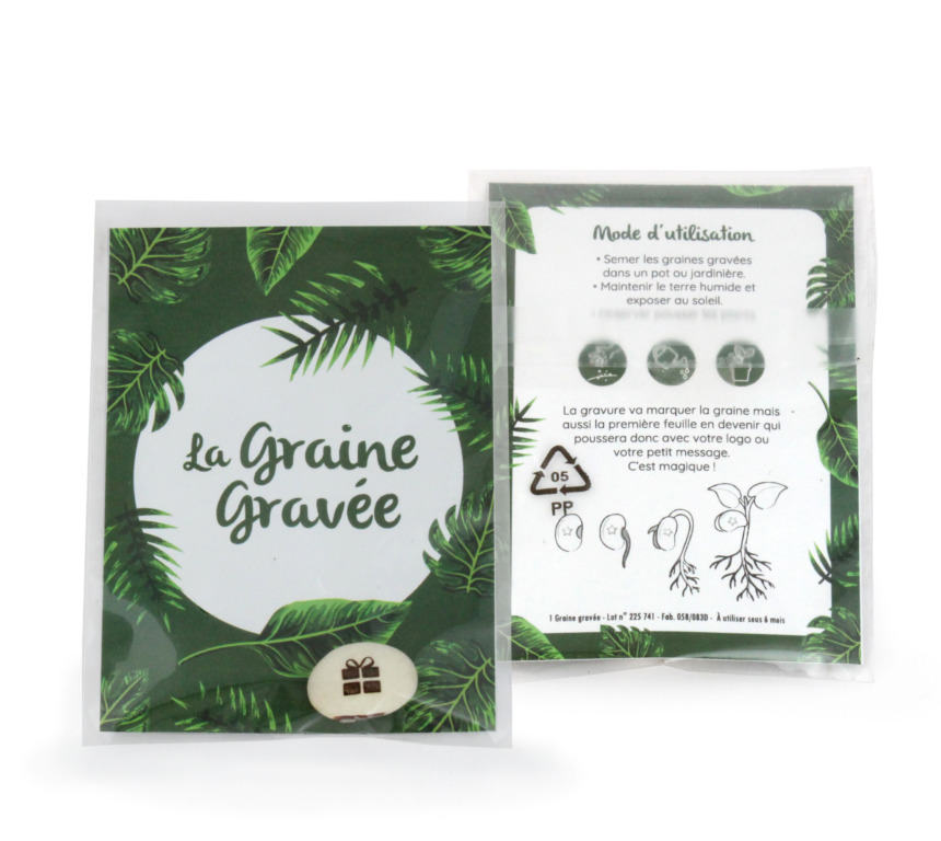 graine gravée graine de haricot magique