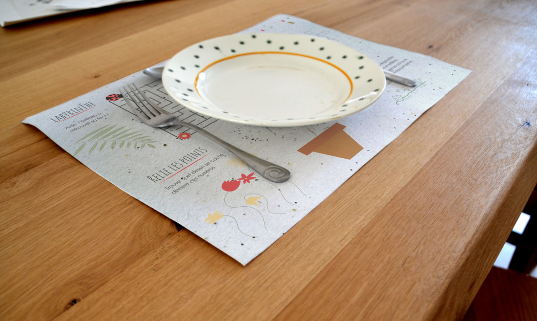 SOUS MAIN SET DE TABLE TAPIS DE GRAINE